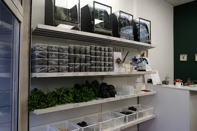 Sklep Terrarystyczny ARACHNOHOBBIA